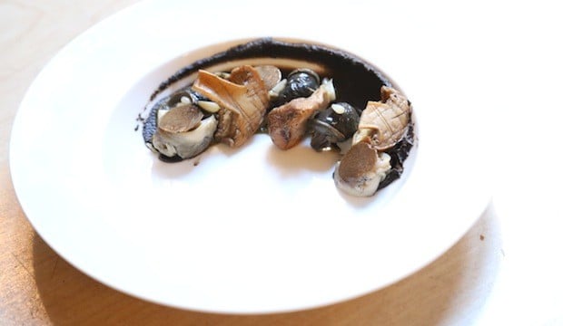 Whelk and Snails with Matsutake Mushrooms, Burgundy Truffles and Spruce