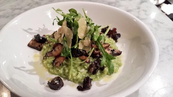 Herb Carolina Gold Risotto with Sautéed Wild Mushrooms, Burgundian Escargot, Arugula Salad & Shaved Parmesan.