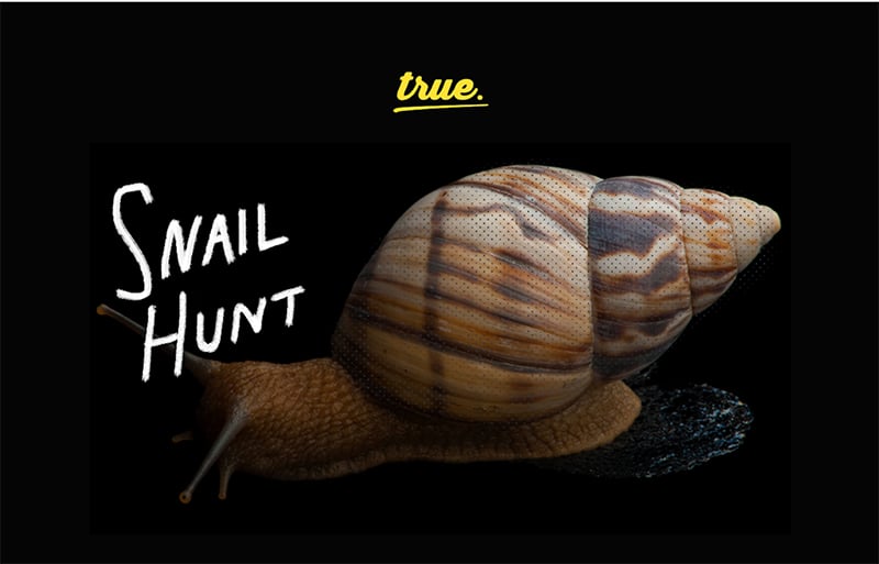 snail-hunt